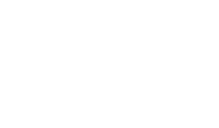 Clean Bees